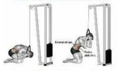 Cable Crunches