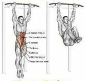 Hanging Leg Raises