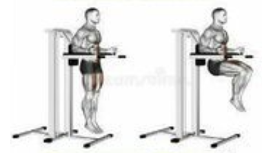 Knee Raises