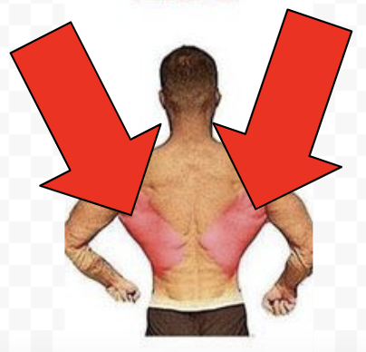 Lats