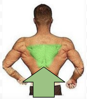 Middle