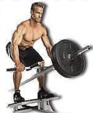 T-bar Row