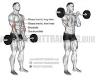Z-bar Narrow Grip Curls