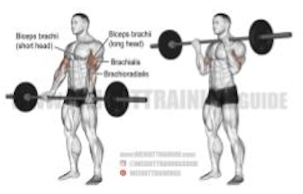 Wide Grip Barbell Curl