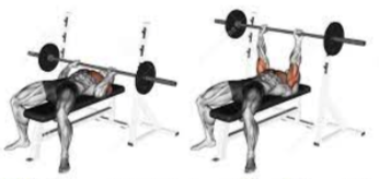 Flat Barbell Press