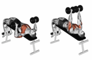 Decline Dumbbell Bench