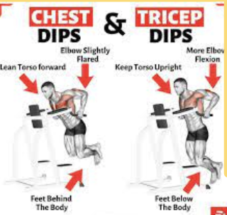 Chest Dips