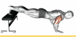 Decline Pushups