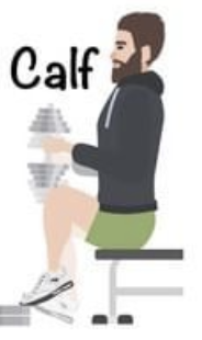 Seated Calf Raise