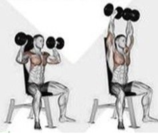 Shoulder Press