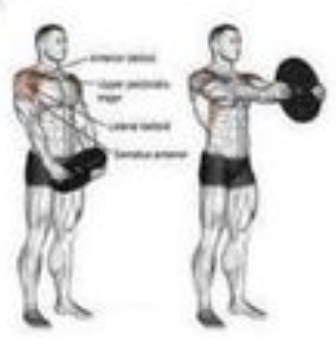 Plate Front Raise