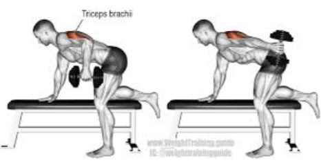 Dumbbell Kickbacks