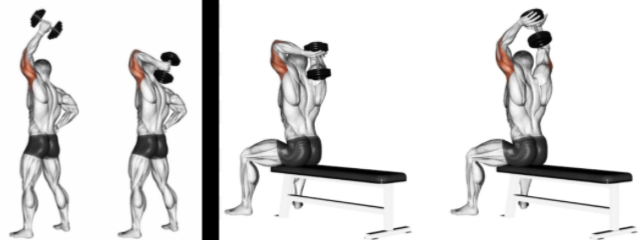 Overhead Dumbbell Extension