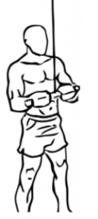 Straight Bar Pushdowns